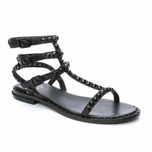 Black Women Ash Play Bis Tonal-Studded Flat Sandals | 229757-763
