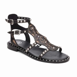 Black Women Ash Plaza Studded Flat Sandals | 012936-131