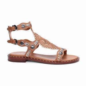 Brown Women Ash Paraiba Embellished Flat Sandals | 570326-931