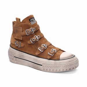 Brown Women Ash Rainbow Suede Buckle Hightop Sneakers | 970224-036