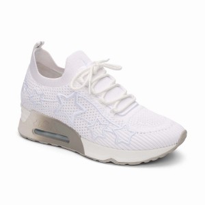 White Women Ash Lunatic Star Knit Sneakers | 077559-593