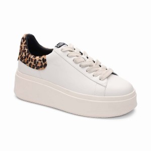 White Women Ash Moby Leopard Platform Sneakers | 599660-512